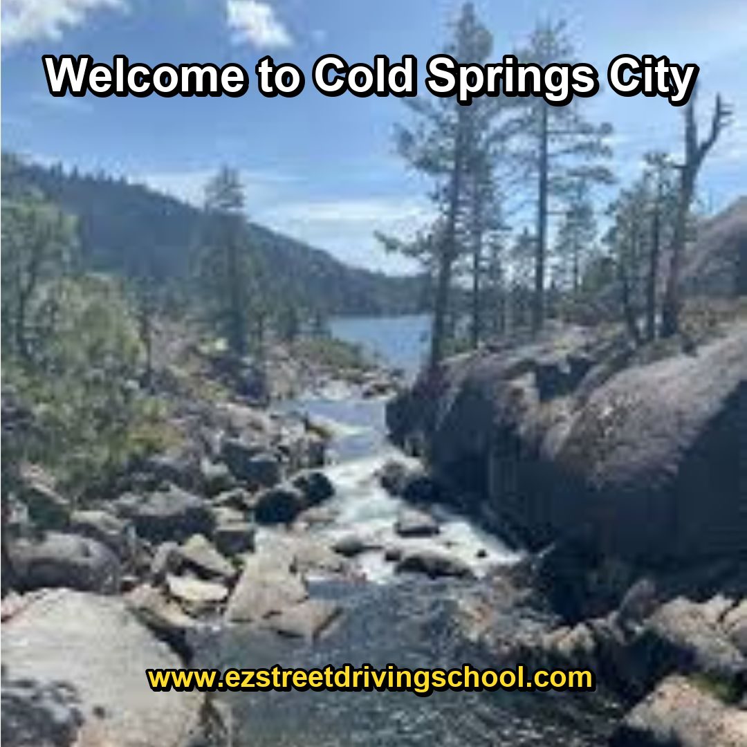 Driving Lessons in Cold Springs